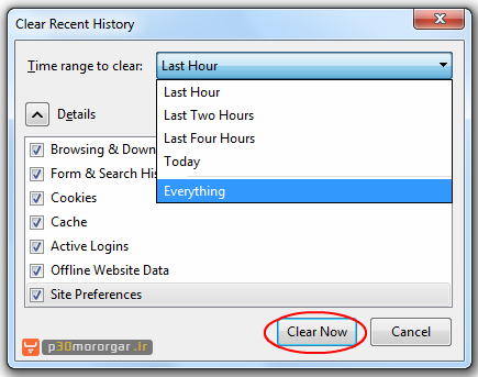 Clear-History-Firefox03